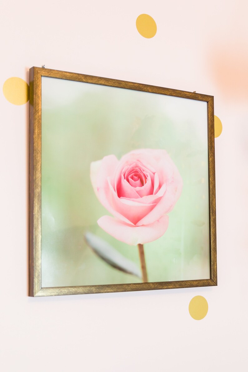 Rose Wall Art, Soft Floral Decor, Pink Rose Photograph, Pastel Pink Green, Pale Pink Floral Art, Cottage Chic Art, Feminine Decor, Girly Art image 3