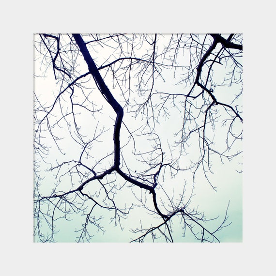 Winter Tree Branches Mint Green Wall Art Winter Photograph Etsy