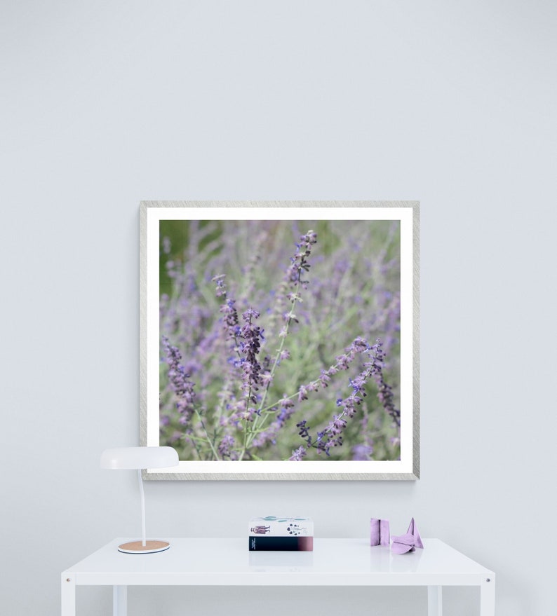 Lavender Photograph, Girl Nursery Art, Pastel Purple Photo, Mint Green Photo, Purple Green Art, Floral Wall Art, Purple Flower Photo image 1