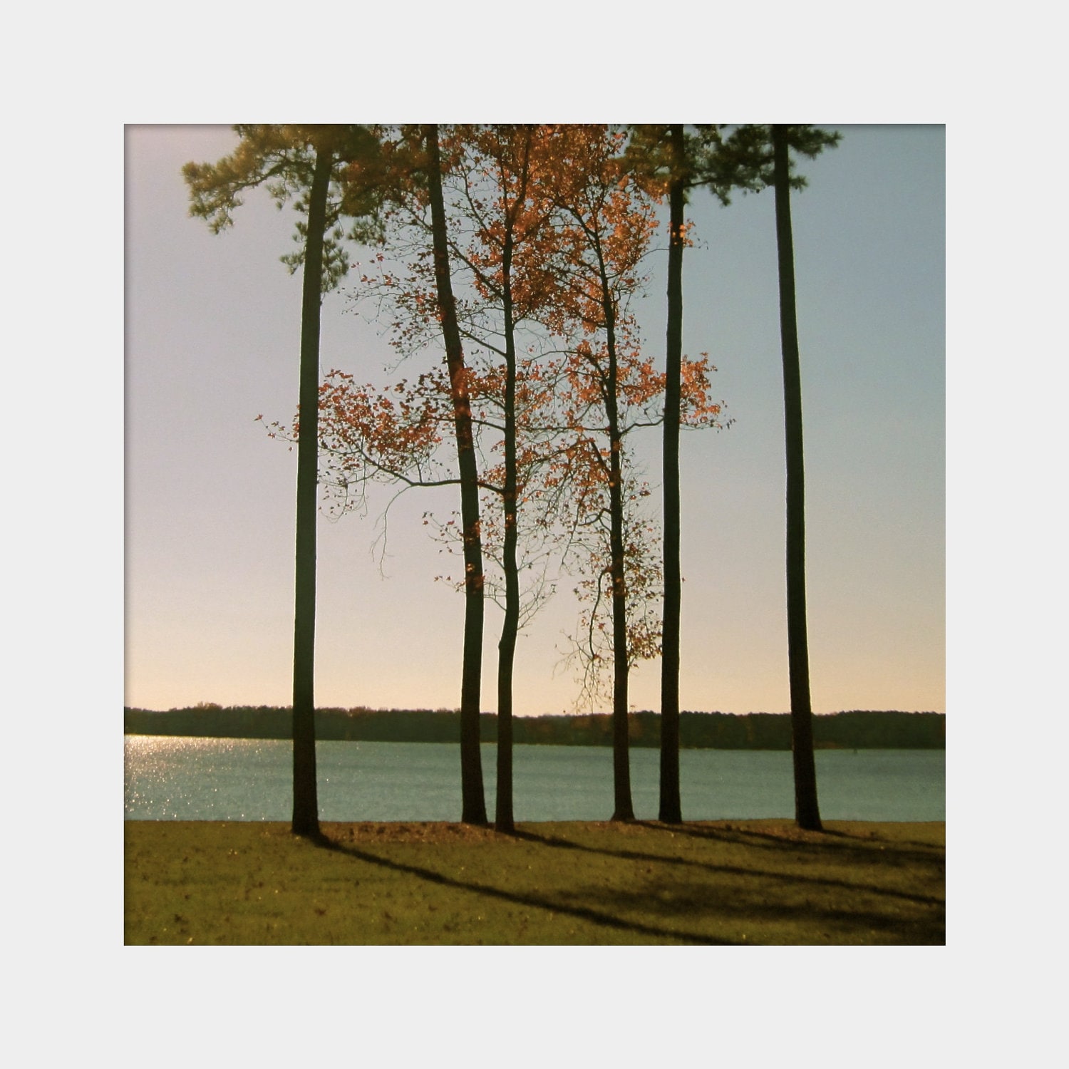 Tall Skinny Tree ubicaciondepersonas.cdmx.gob.mx