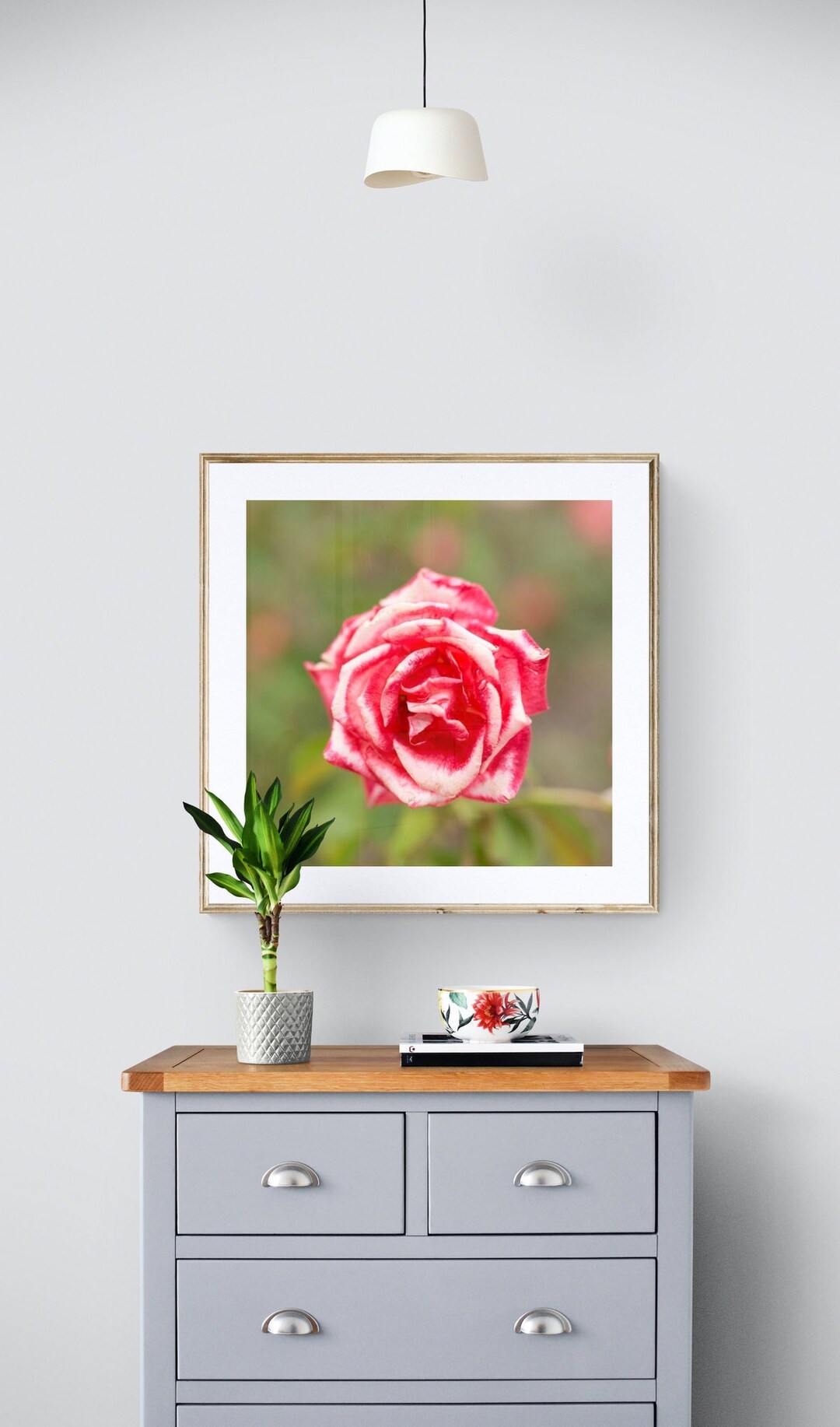 Pink Carousel Roses Pink Carousel Rose Photo: Bellingrath Gardens Floral Print - Etsy