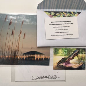 Sea Oats Photograph, Ocean Springs Beach Wall Art, Pier Photo, Beach House Wall Art, Coastal Photo, Blue Brown Decor, Seascape Photo, image 6