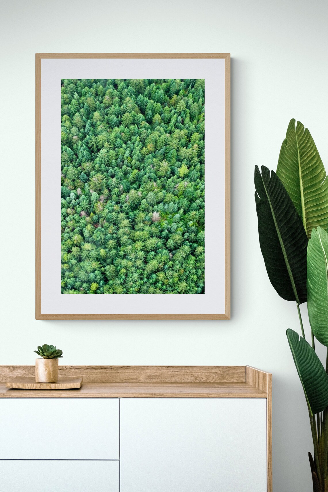 Green Modern Art, Bright Green Photo, Aerial Tree Photo, Whistler