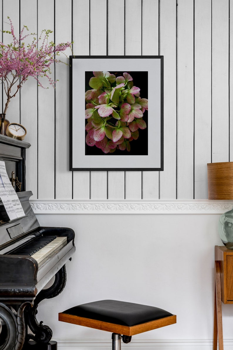 Wilted Flower Photo, Hydrangea Photo, Moody Flower Art, Dramatic Nature Art, Pink Green Wall Art, Floral Photograph, Flower Petals Photo image 4