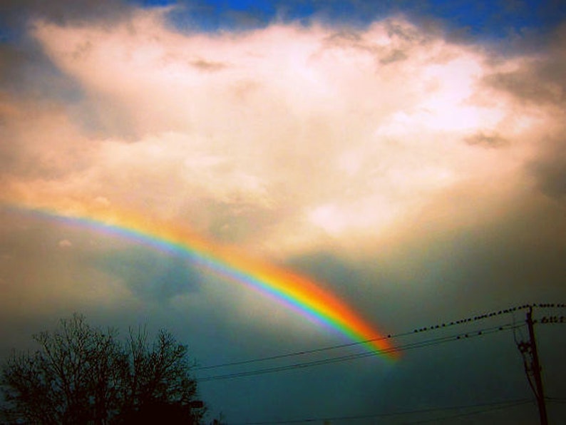 May include: A vibrant rainbow arching through a cloudy sky, with power lines running across the bottom of the image.