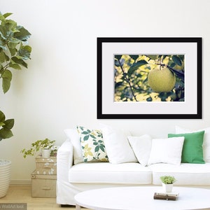 Green Apple Photo, Apple Tree Photo, Kitchen Wall Decor, Green Leaves Art, Green Apple Art, Green Yellow Art, Fruit Photo, Nature Photo image 7