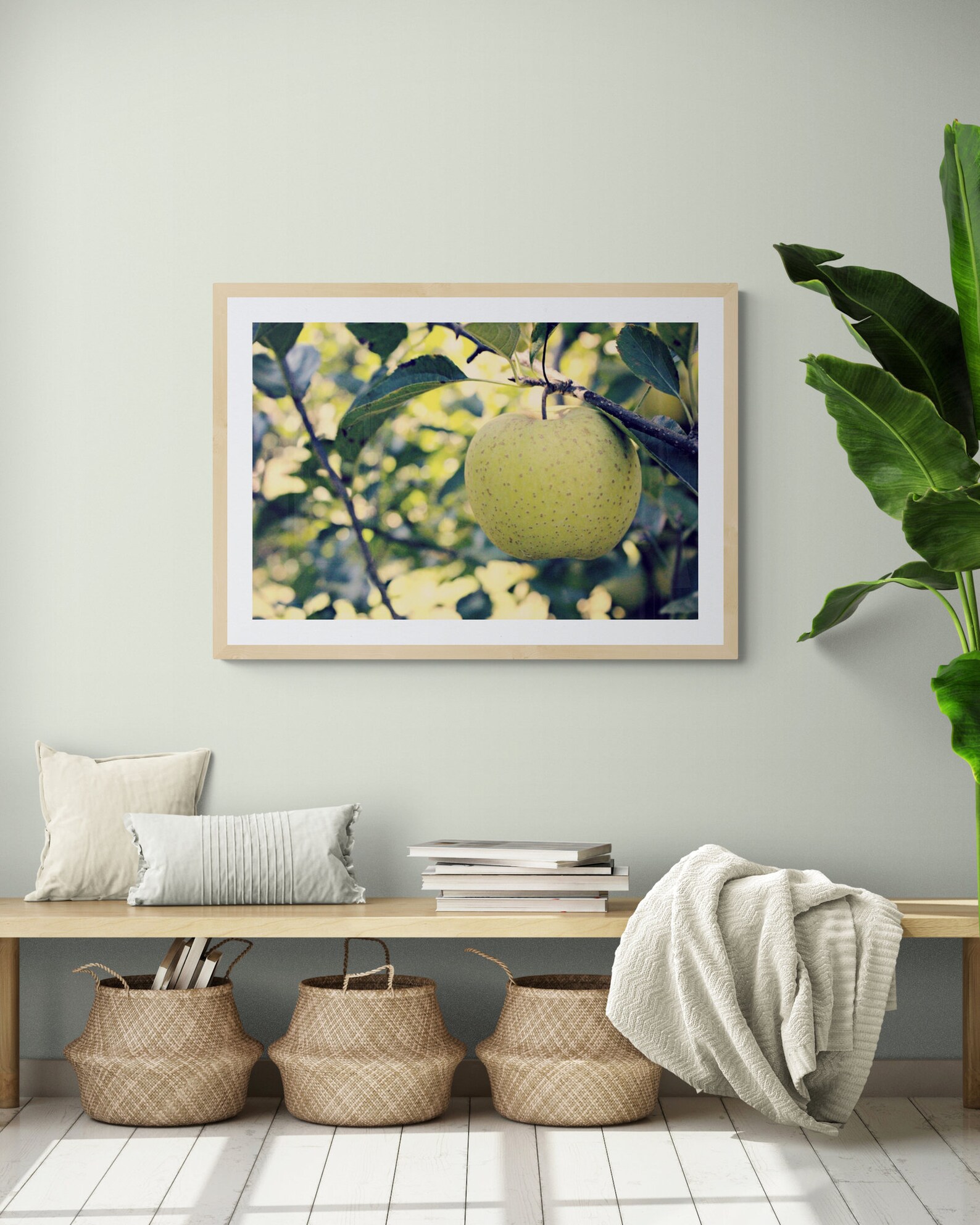 Green Apple Photo Apple Tree Photo Kitchen Wall Decor Green - Etsy