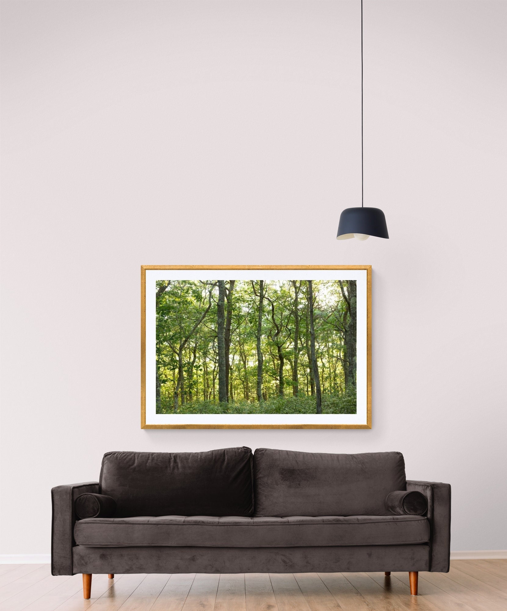 Green Nature Art, Green Forest Photo, Trees Photo, Green Tree Art, Tree