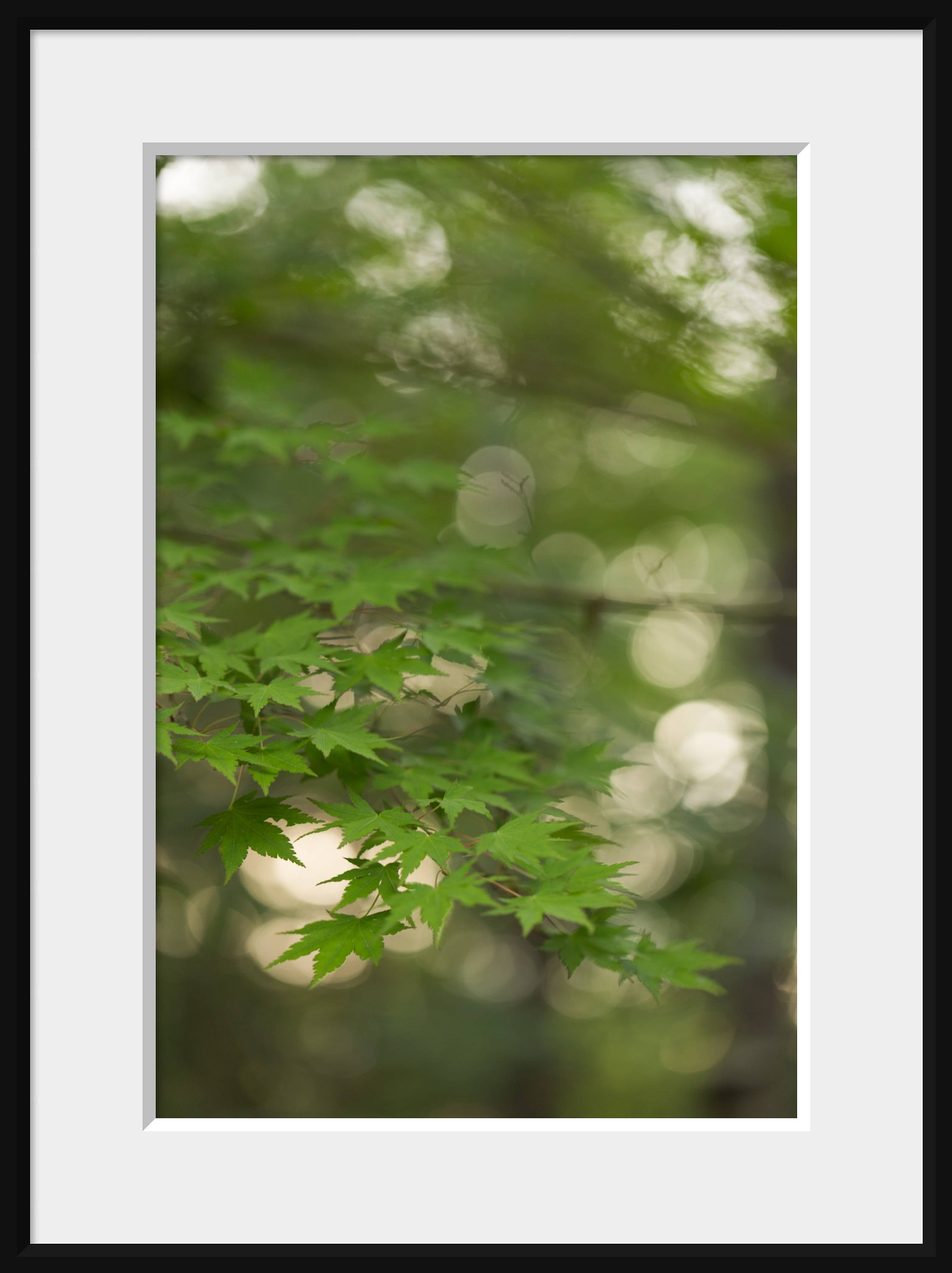 Surreal Art Green Nature Art Botanical Photo Large Green - Etsy