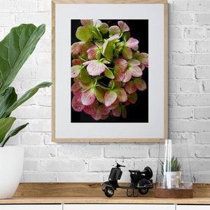 Wilted Flower Photo, Hydrangea Photo, Moody Flower Art, Dramatic Nature Art, Pink Green Wall Art, Floral Photograph, Flower Petals Photo image 3