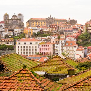 Portugal Photo Set, Porto Gallery Wall, Porto Photo Set, Porto Prints, Livraria Lello Photos, Taylor's Port Photos, Porto Portugal Art image 9