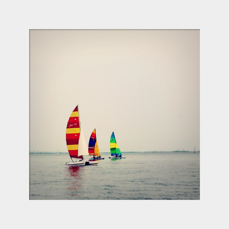 Hobie Cat Sailing Photo, Ocean Springs Sailing Photo, Catamaran Wall Art, Nautical Photo, Regatta Photo, Biloxi Bay Wall Art, Colorful Sails image 2