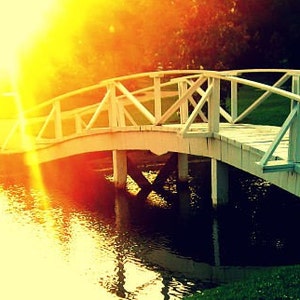 Inspiring Photograph, Bright Sunlight Photo, Yellow Orange Green White, Bridge Photograph, Pond Bridge Photo, Crossing Over, Sun Flare Art image 2