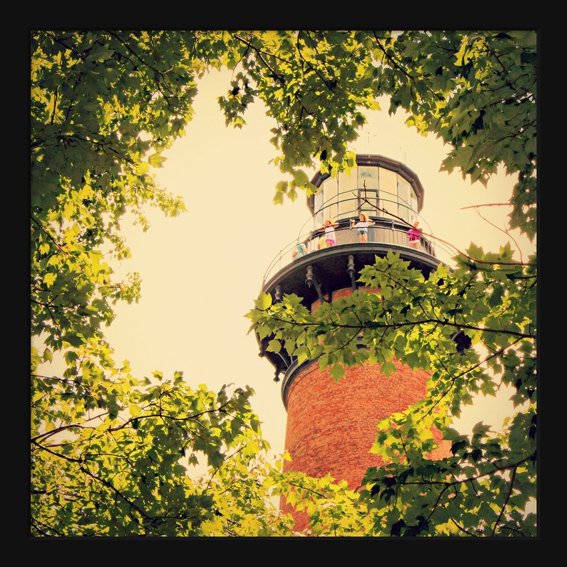 May include: A red brick lighthouse with a white railing and a black roof. The lighthouse is surrounded by green trees.
