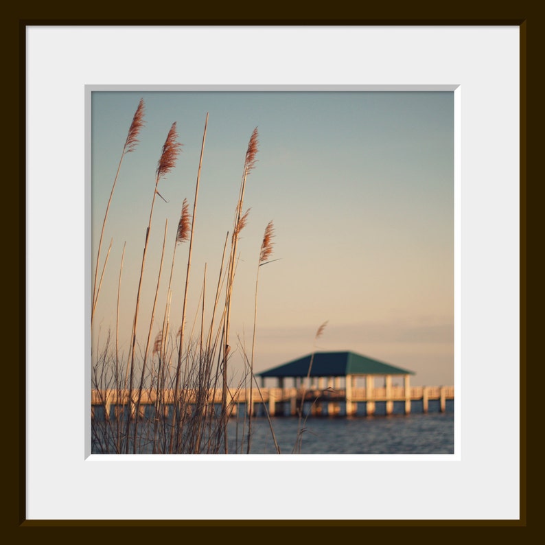 Sea Oats Photograph, Ocean Springs Beach Wall Art, Pier Photo, Beach House Wall Art, Coastal Photo, Blue Brown Decor, Seascape Photo, image 4