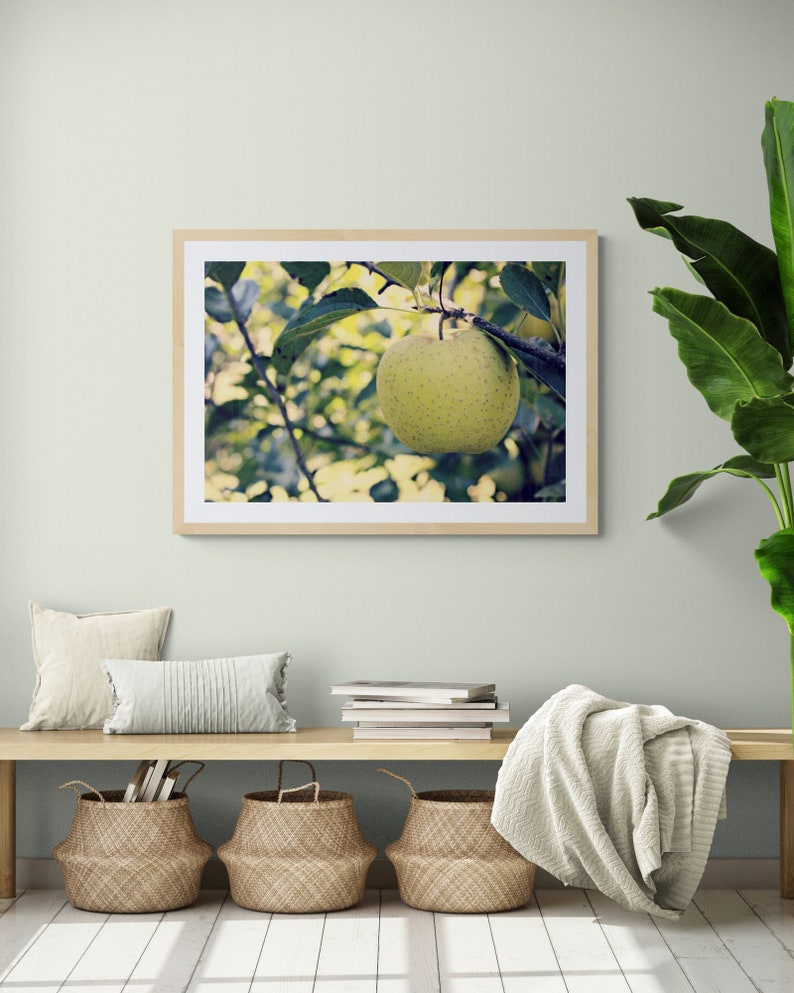 Green Apple Photo, Apple Tree Photo, Kitchen Wall Decor, Green Leaves Art, Green Apple Art, Green Yellow Art, Fruit Photo, Nature Photo image 1