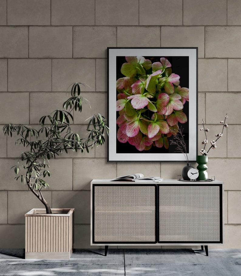 Wilted Flower Photo, Hydrangea Photo, Moody Flower Art, Dramatic Nature Art, Pink Green Wall Art, Floral Photograph, Flower Petals Photo image 1