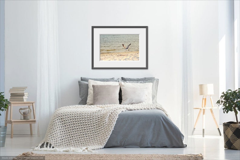 Seagull Photograph Neutral Beach House Decor Gray Beige Art Etsy