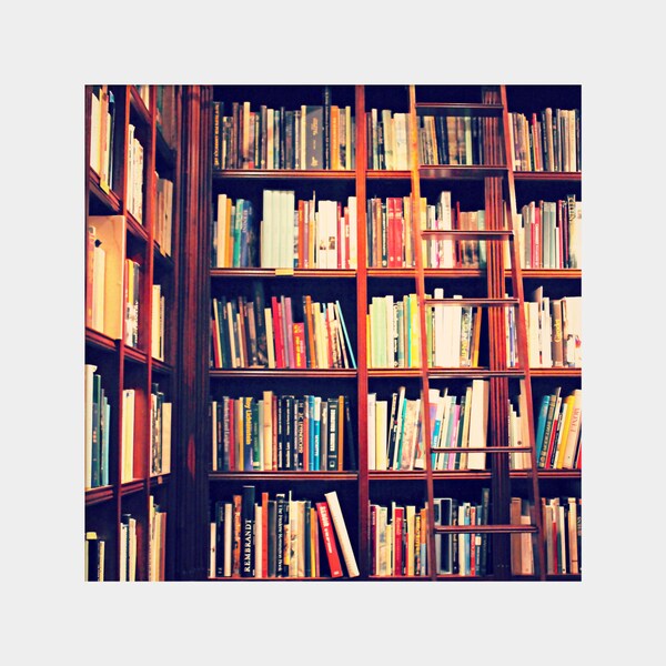 Library Ladder Etsy