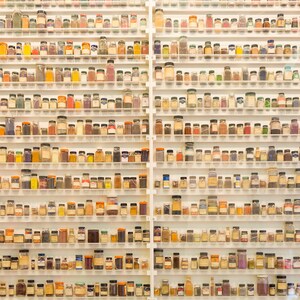 May include: A wall of shelves filled with small glass jars containing various colored powders. The jars are arranged in rows and columns, creating a colorful and organized display.