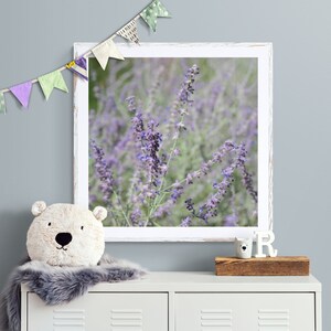 Lavender Photograph, Girl Nursery Art, Pastel Purple Photo, Mint Green Photo, Purple Green Art, Floral Wall Art, Purple Flower Photo image 3