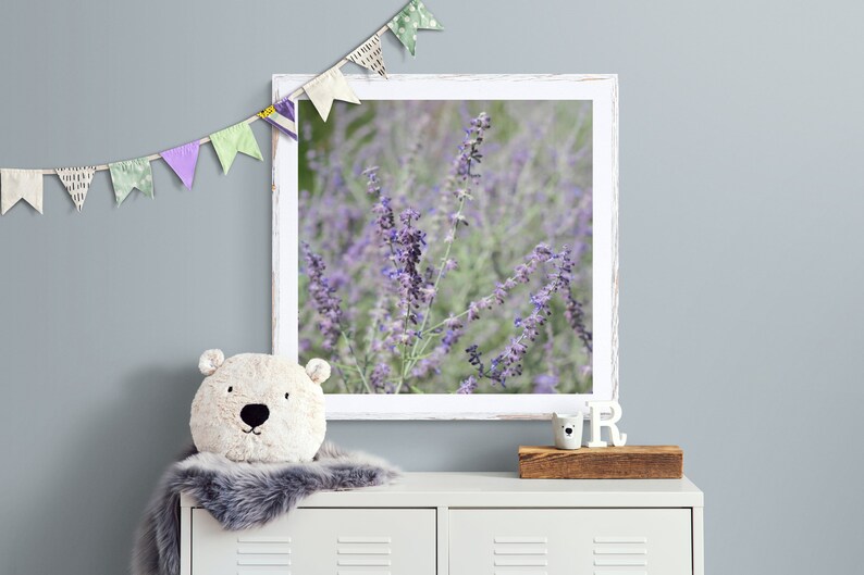 Lavender Photograph, Girl Nursery Art, Pastel Purple Photo, Mint Green Photo, Purple Green Art, Floral Wall Art, Purple Flower Photo image 3