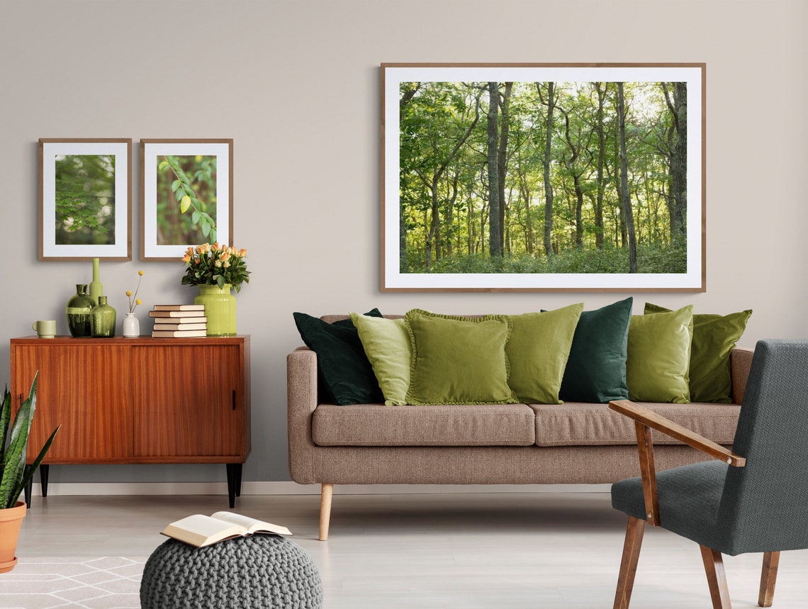 Green Nature Art, Green Forest Photo, Trees Photo, Green Tree Art, Tree