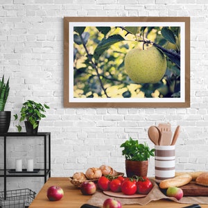 Green Apple Photo, Apple Tree Photo, Kitchen Wall Decor, Green Leaves Art, Green Apple Art, Green Yellow Art, Fruit Photo, Nature Photo image 5