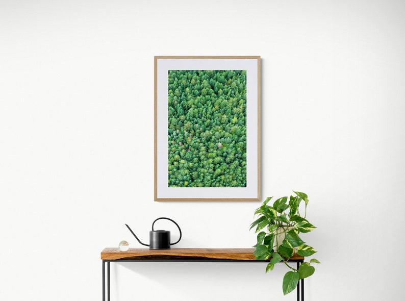 Green Modern Art, Bright Green Photo, Aerial Tree Photo, Whistler Mountain, Evergreen Tree Photo, Forest Wall Art, Pine Tree Photo, Bold Art image 1