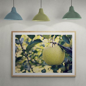 Green Apple Photo, Apple Tree Photo, Kitchen Wall Decor, Green Leaves Art, Green Apple Art, Green Yellow Art, Fruit Photo, Nature Photo image 6