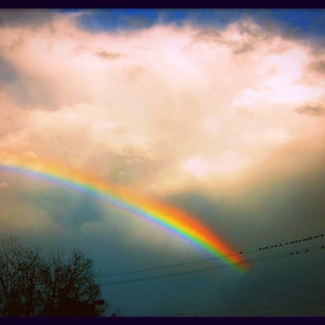 May include: A rainbow arching across a cloudy sky. The rainbow is vibrant with red, orange, yellow, green, blue, indigo, and violet colours. The sky is a soft, pale blue with white clouds.
