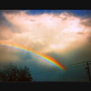 May include: A vibrant rainbow arches across a cloudy sky, with a silhouette of trees and power lines in the foreground.