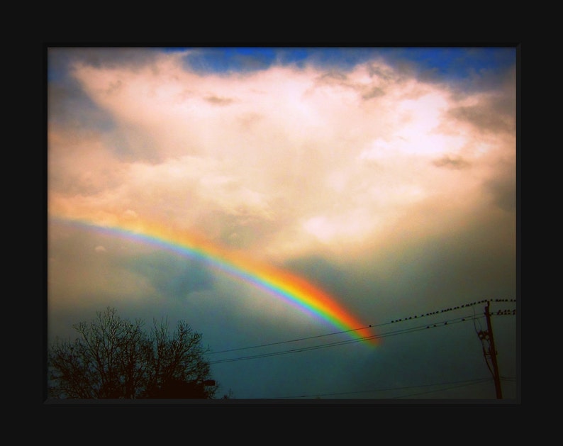 May include: A vibrant rainbow arches across a cloudy sky, with a silhouette of trees and power lines in the foreground.