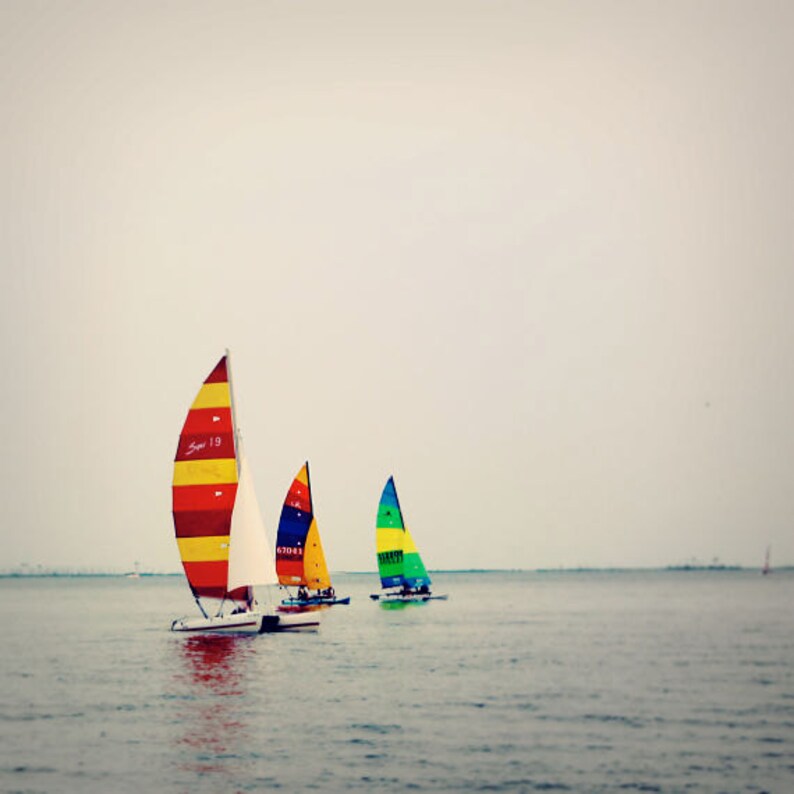 Hobie Cat Sailing Photo, Ocean Springs Sailing Photo, Catamaran Wall Art, Nautical Photo, Regatta Photo, Biloxi Bay Wall Art, Colorful Sails image 6