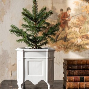 Quadratischer Pflanzkübel mit Füßen aus getöntem, weißem Limoges-Porzellan im eleganten französischen Rokoko-Stil, geeignet für Zimmerpflanzen