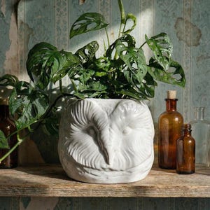 Grande vaso vintage a forma di testa di gufo in terracotta bianca italiana, anni '50-'60, vaso a forma di animale per piante da interno, originale atmosfera da strega