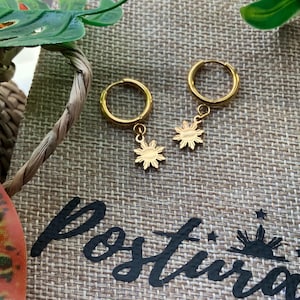 Philippine Sun Stainless Steel Hoop Earrings, Filipino American History Month, AAPI Heritage, Mother&#39;s day gift, Philippine Jewelry