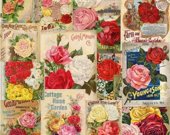 Vintage Rose Seed Packets Digital Download 4 - 8.5 X 11 Collage Sheets SKU 0046