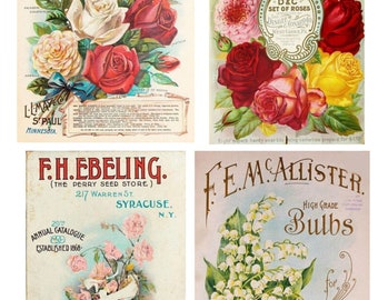 Vintage Seed Packet Digital Download Flower Vegetable Seed Collage Sheets SKU 0026