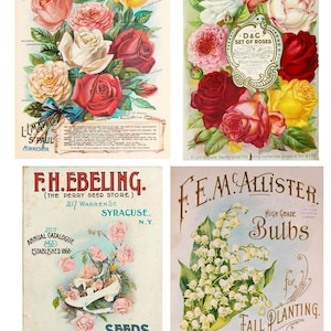 Pacote de sementes vintage Download digital Folhas de colagem de sementes de vegetais e flores SKU 0026