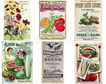 Printable Vintage Seed Packets, Instant Download Collage Printable Vintage Seed Packets, Instant Download Collage