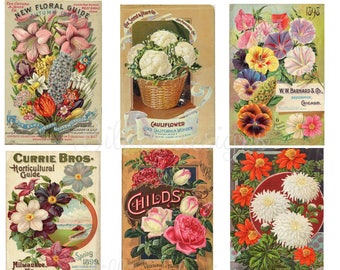May include: A collage of vintage seed packets featuring colorful illustrations of flowers, vegetables, and fruits. The packets are from different companies and feature the years 1898 and 1899.