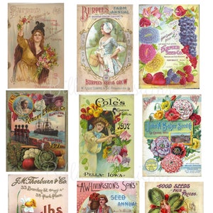 Vintage Seed Packet Digital Download SKU 0022