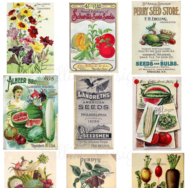 Vintage Seed Packets - Etsy