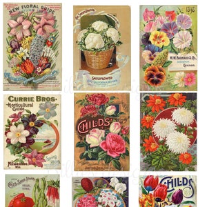 Pacote de sementes vintage Download digital Folha de colagem de sementes de flores SKU 0035