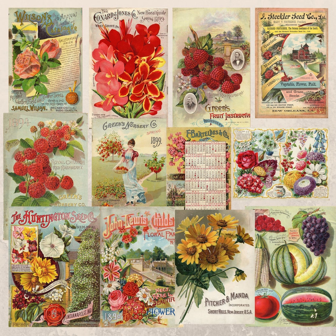 Antique Flower Seed Packet Sticker Sheet Vintage Seed Packs 