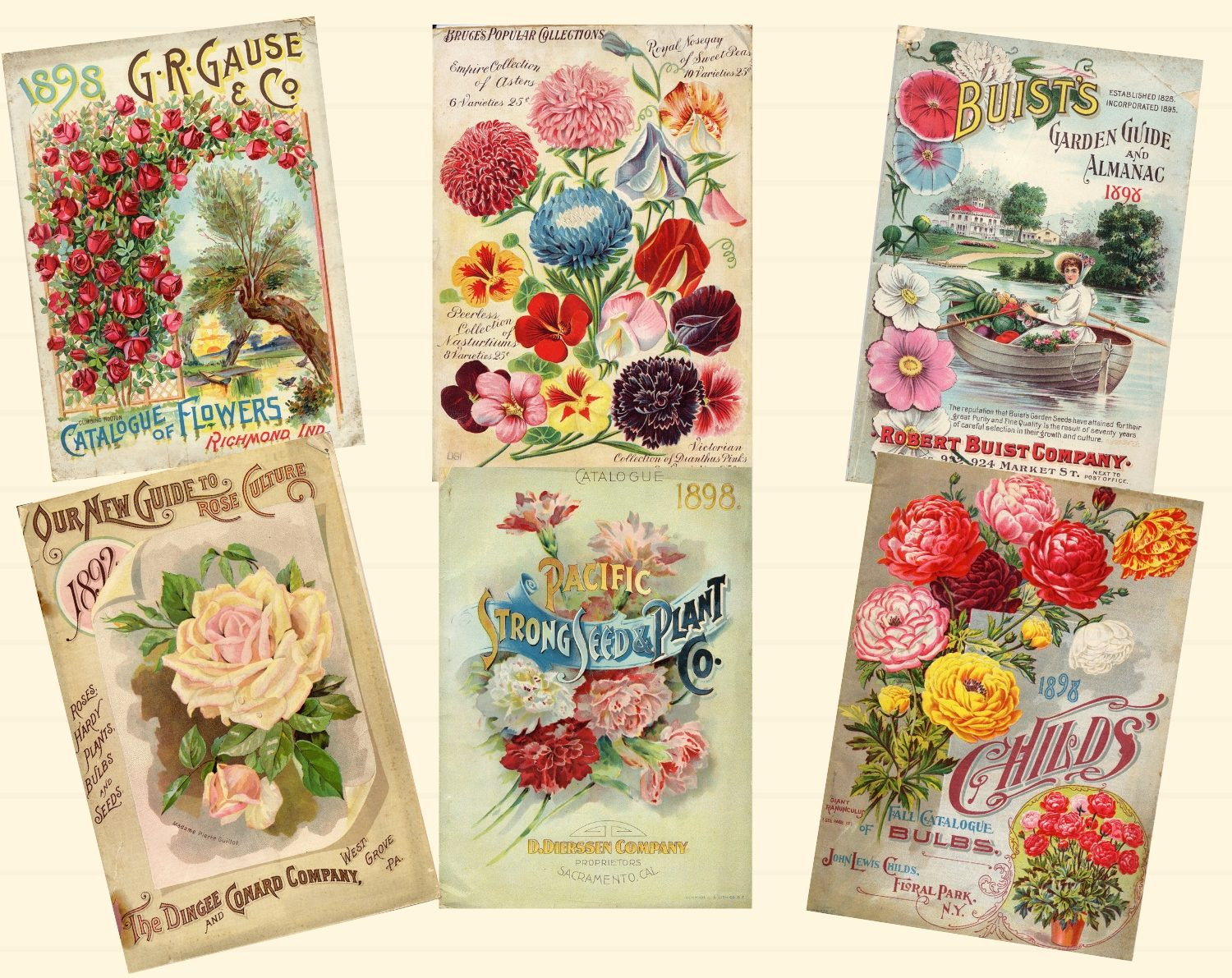Flower Seed Packets Set Four Vintage Flower Seed Packets Including Stock  Vector by ©adamsl 194932702