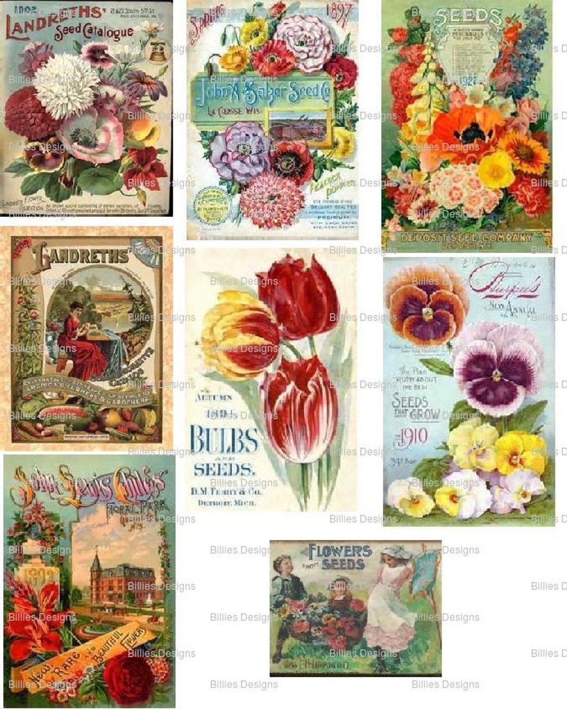 Vintage Flower Seed Packet Printable JPG Digital Download | Etsy