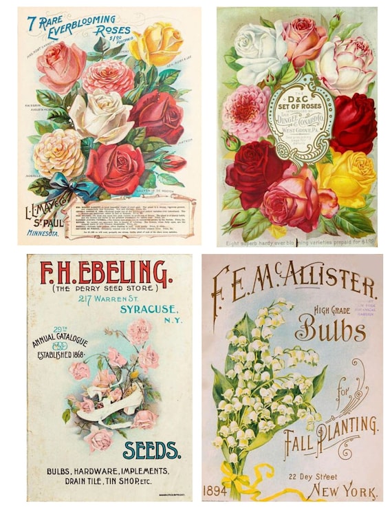 Vintage Flower Seed Packets Set 1 Commercial Use Printable JPG Digital  Collage Sheet and Individual PNG Images 