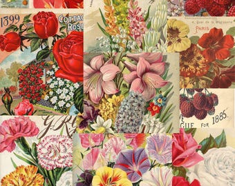 Flower Seed Packet Collage strips for Scrapbooking & Junk Journals 300 DPI Digital Download